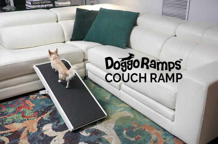 DoggoRamps The Couch Ramp for Dogs Indiegogo