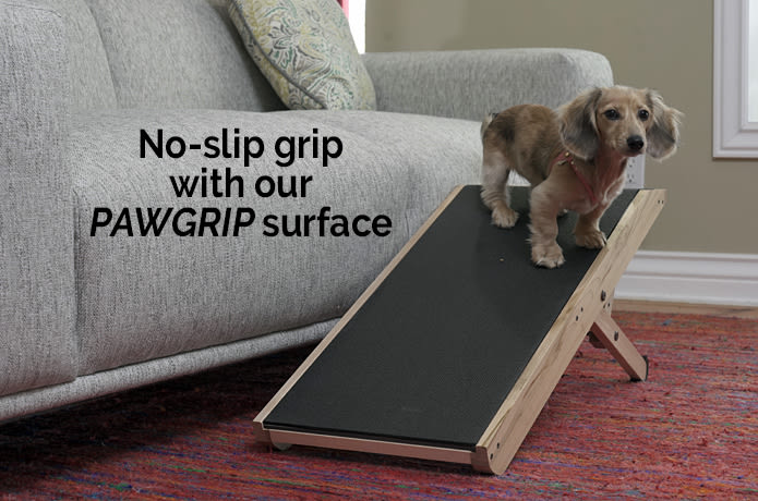 DoggoRamps The Couch Ramp for Dogs Indiegogo