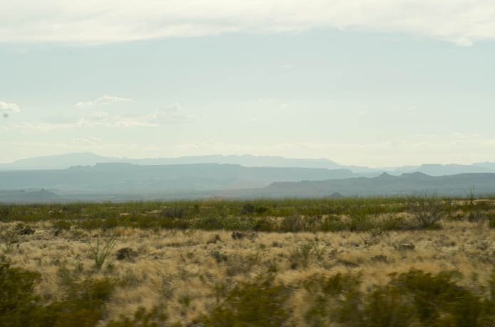 Nopal Road | Indiegogo Nopal Road