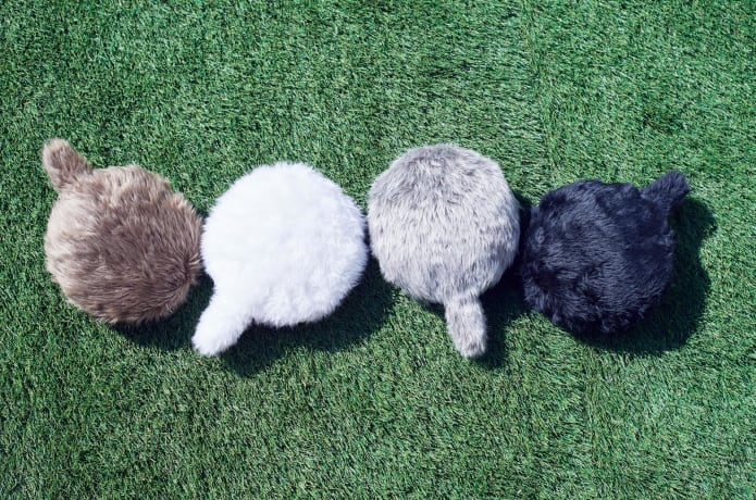 Petit Qoobo A Small Cushion With a Wagging Tail Indiegogo