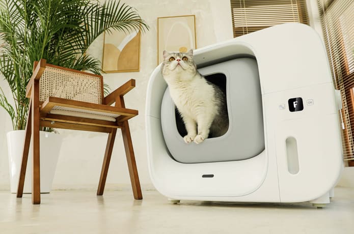 Footloose hauling litter box reviews