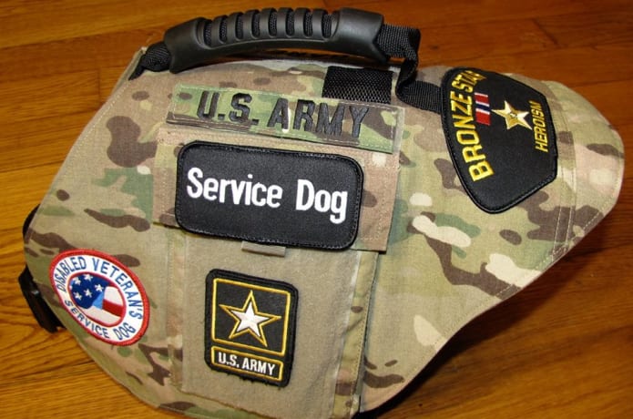 Dog Vests 4 Vets Indiegogo