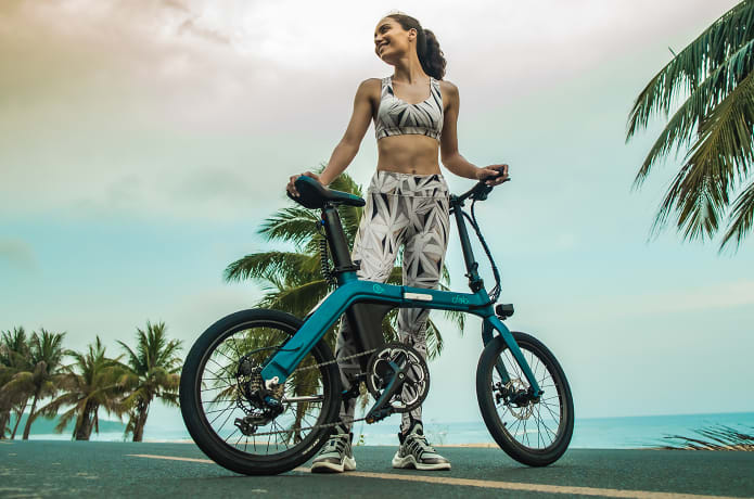 FIIDO D11 100km Cycling Urban Folding eBike Indiegogo