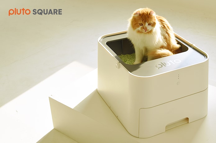 Square litter box hot sale