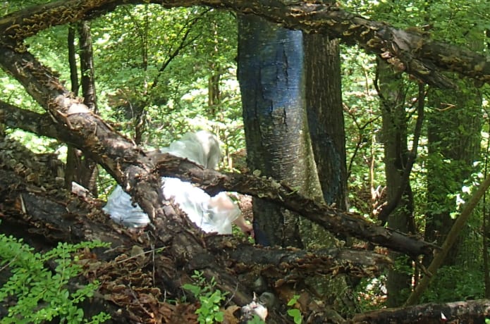 Blued Trees painter in Peekskill NY, June 21st, 2015.