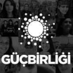 turkiye nin oylari gonullulerini