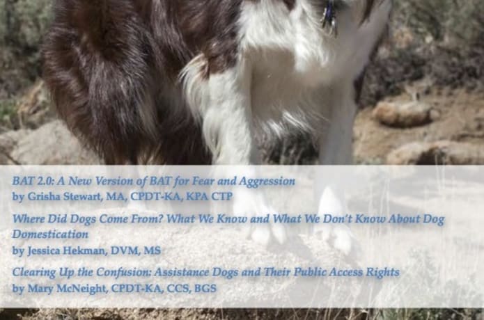 Ostrich effect 40 things every entrepreneur needs to know english edition