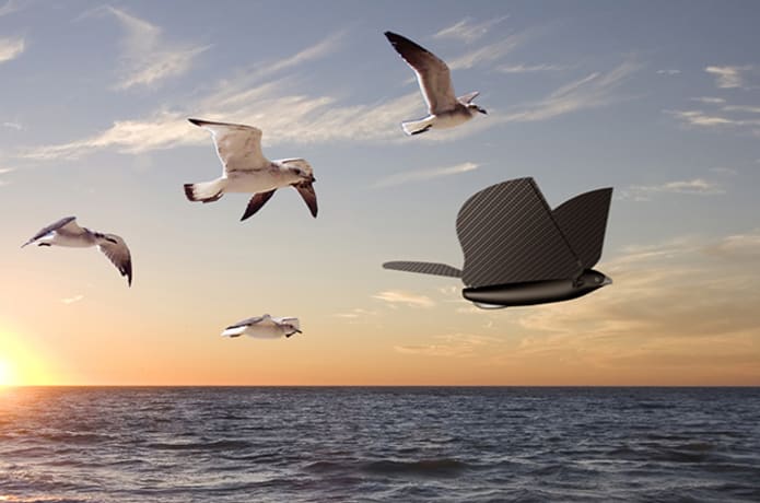 Bionic Bird The Furtive Drone Indiegogo