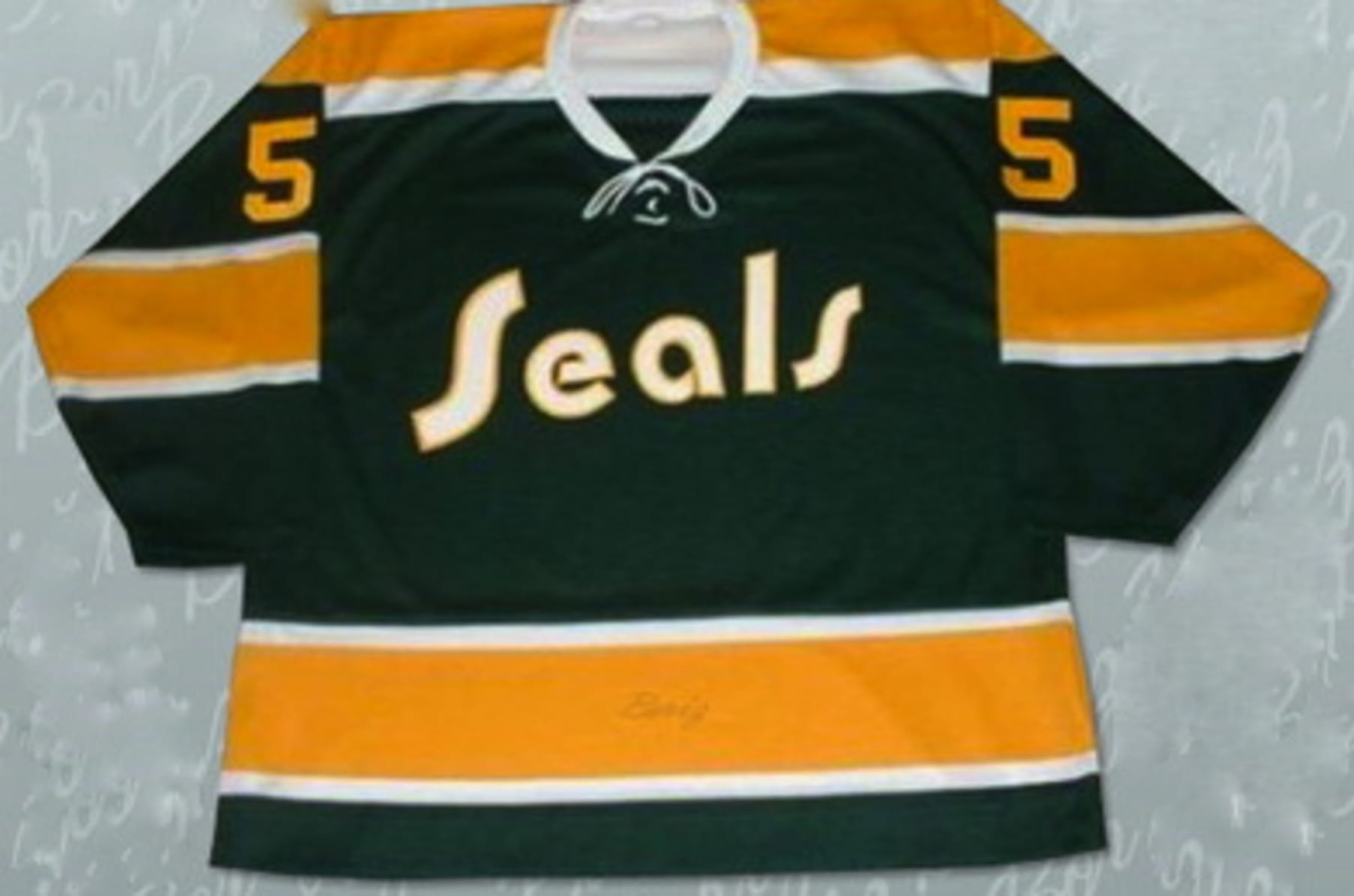 The California Golden Seals Story hockey documentary