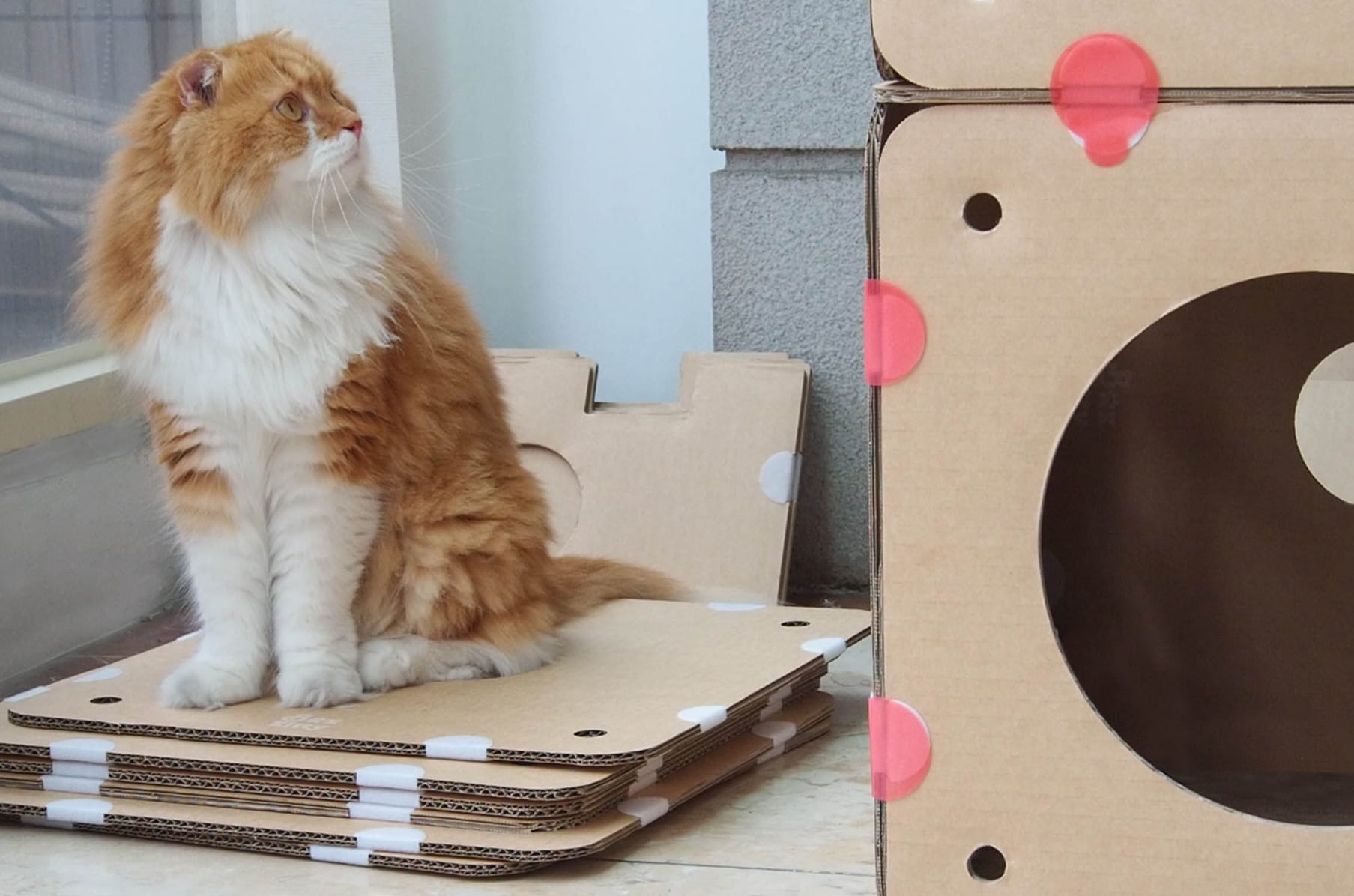 Boxkitty top