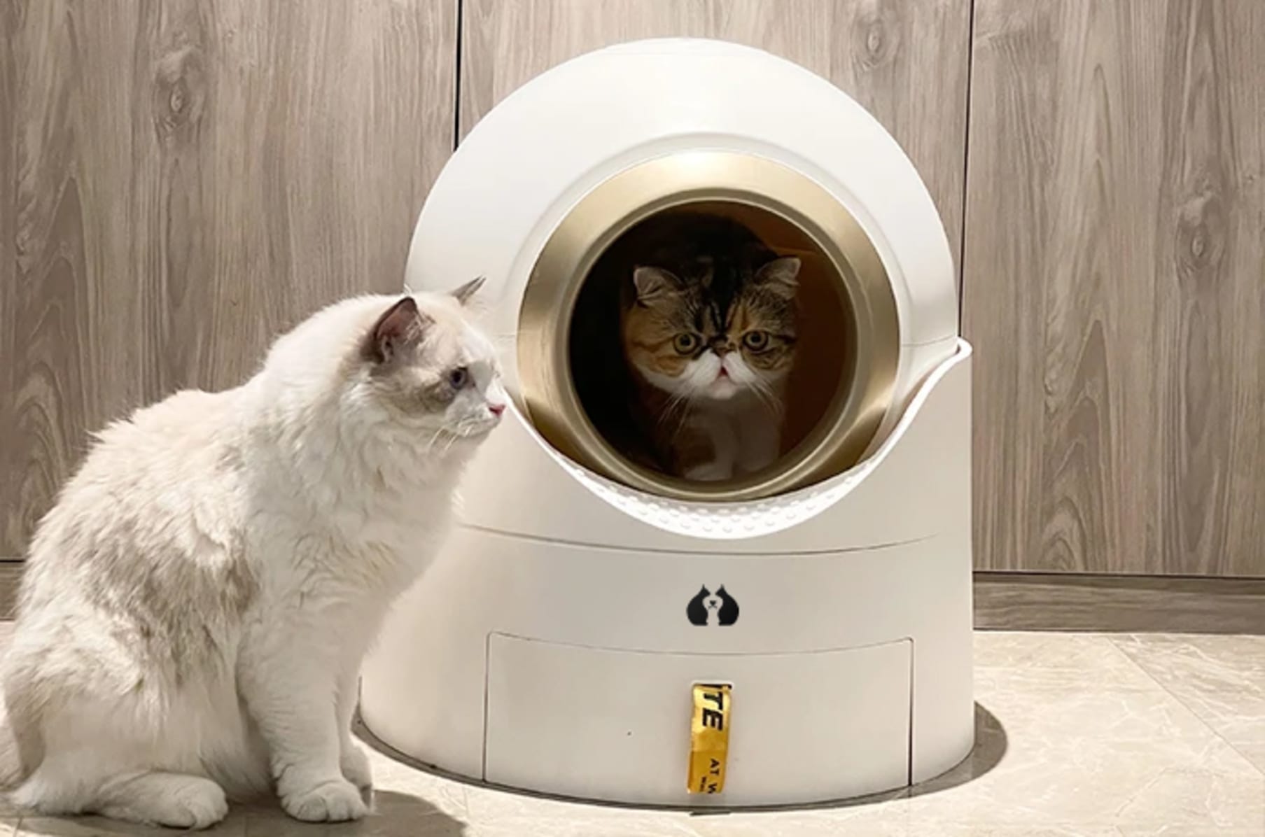 Family dollar online cat litter box