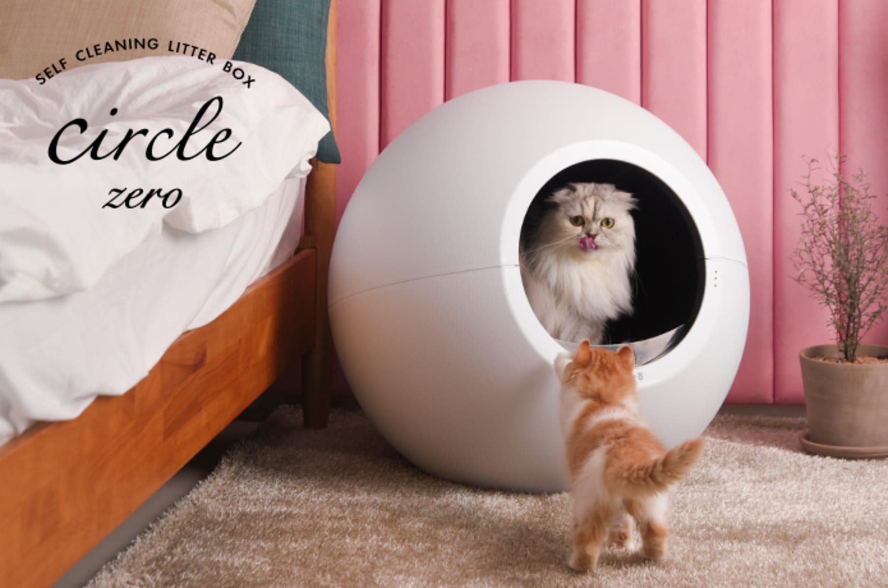 Circle Zero Zero Odor Self Cleaning Litter Box Indiegogo