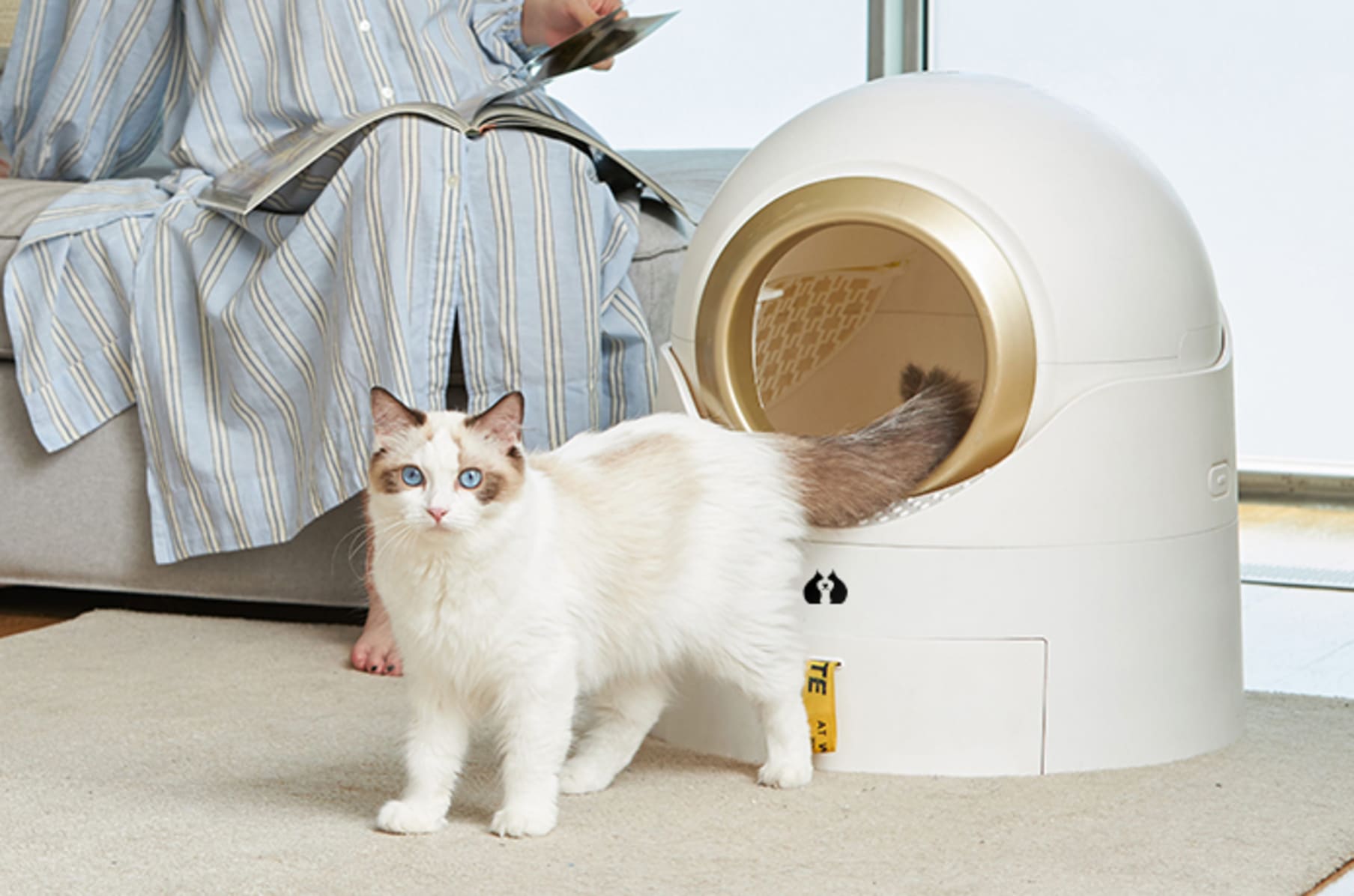 Semi automatic cat litter box hotsell