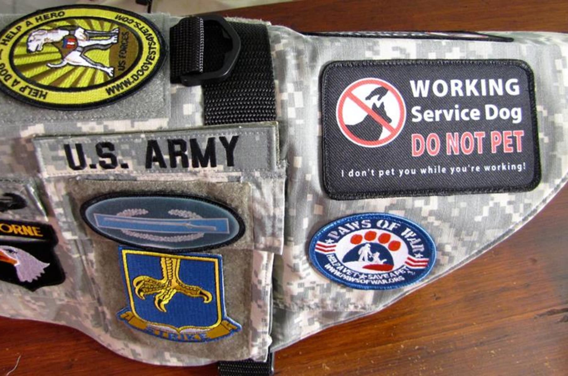 Dog Vests 4 Vets Indiegogo