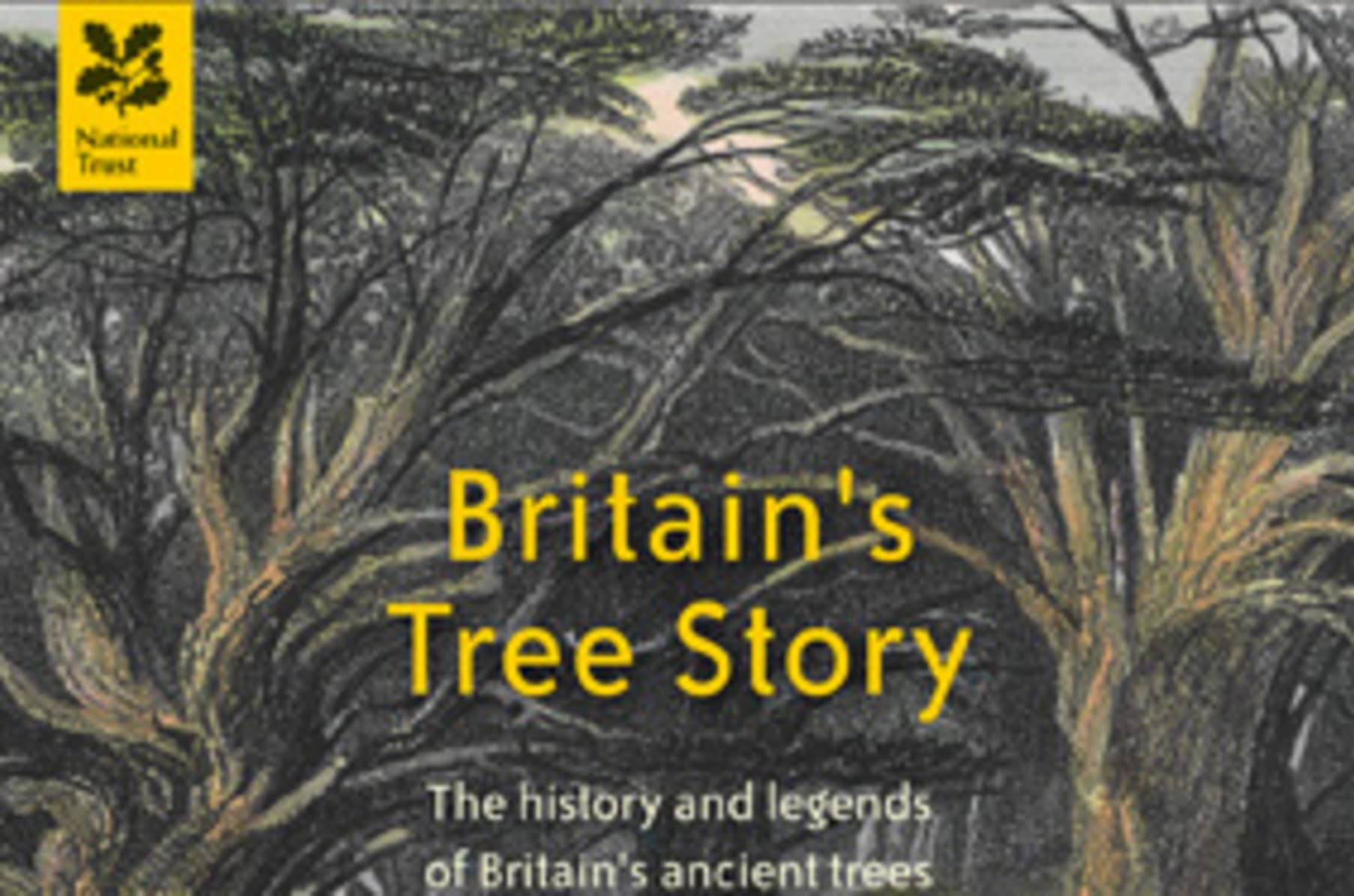 World Tree Story Indiegogo
