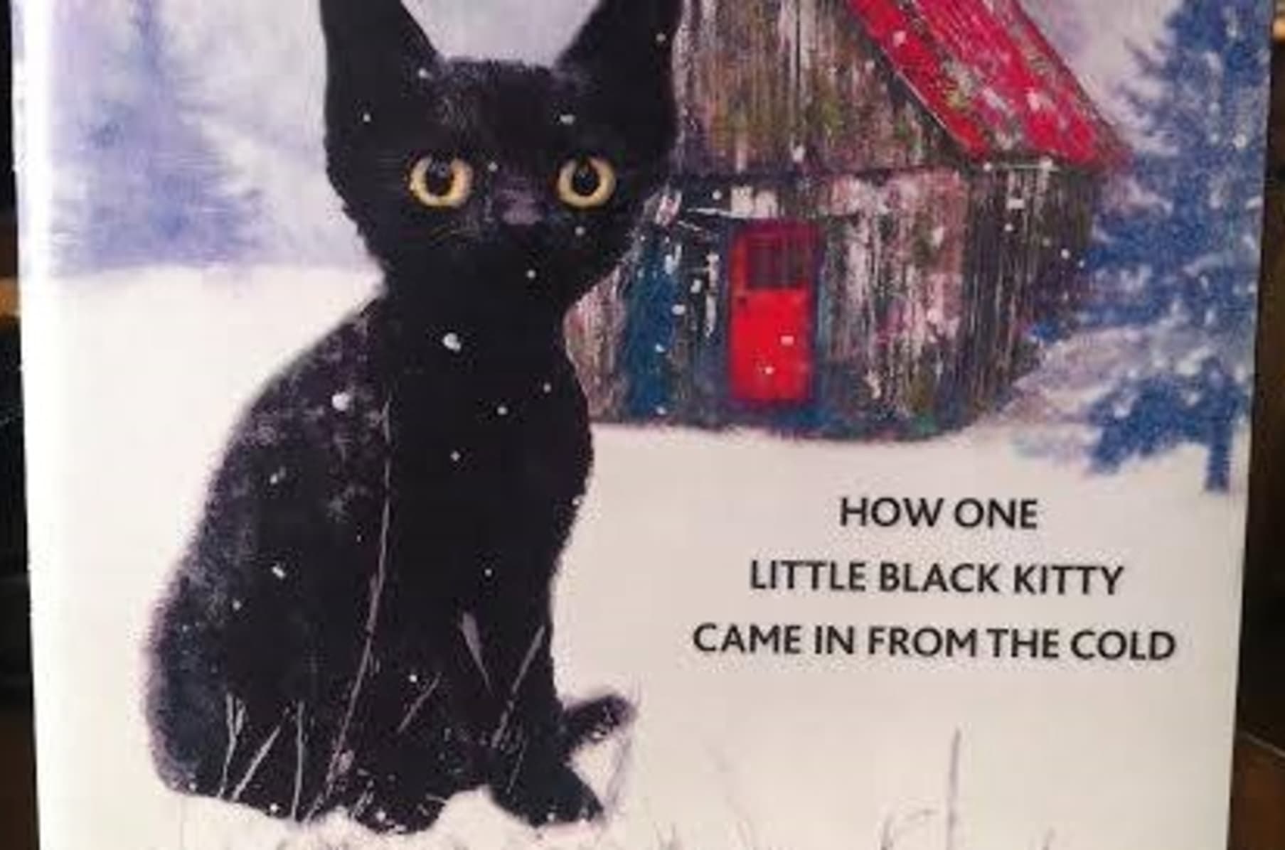 Help Clear Creek Cat Rescue Save Cats Indiegogo