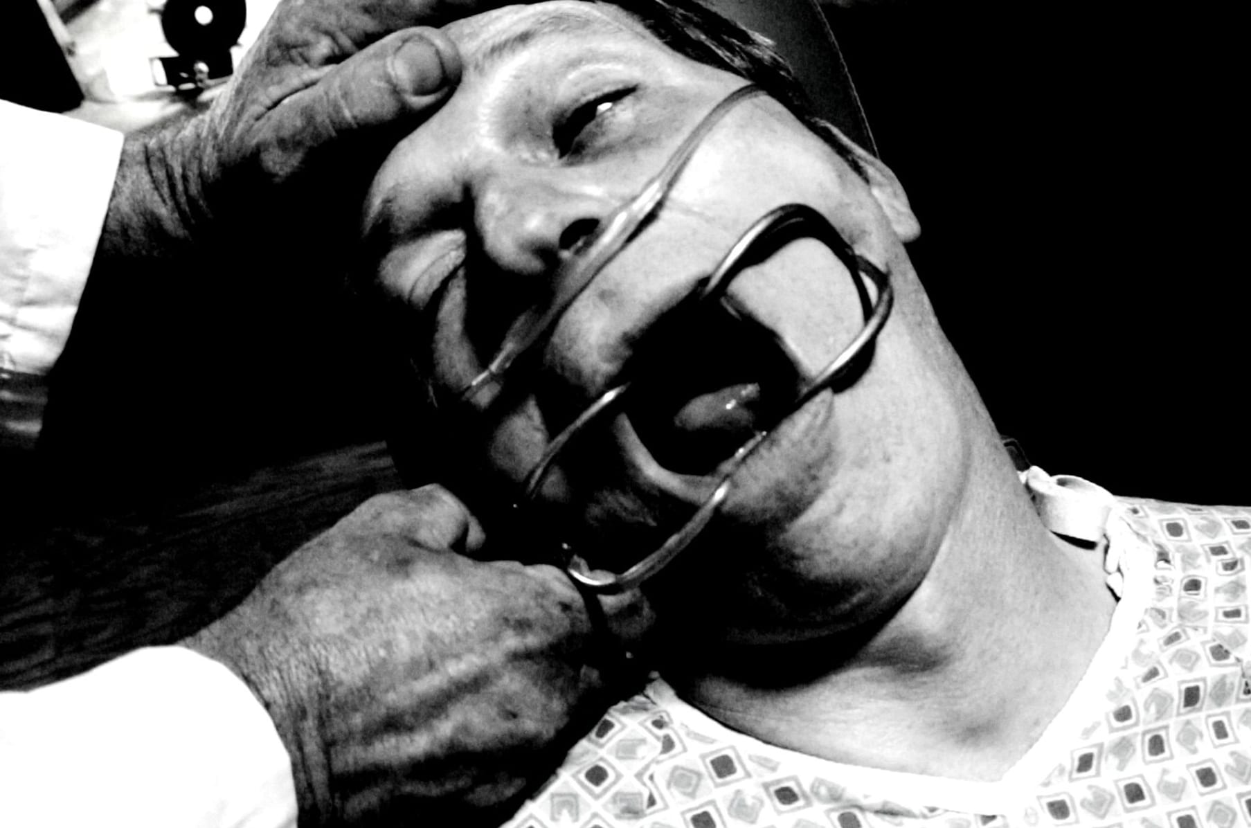 american guinea pig bloodshock online