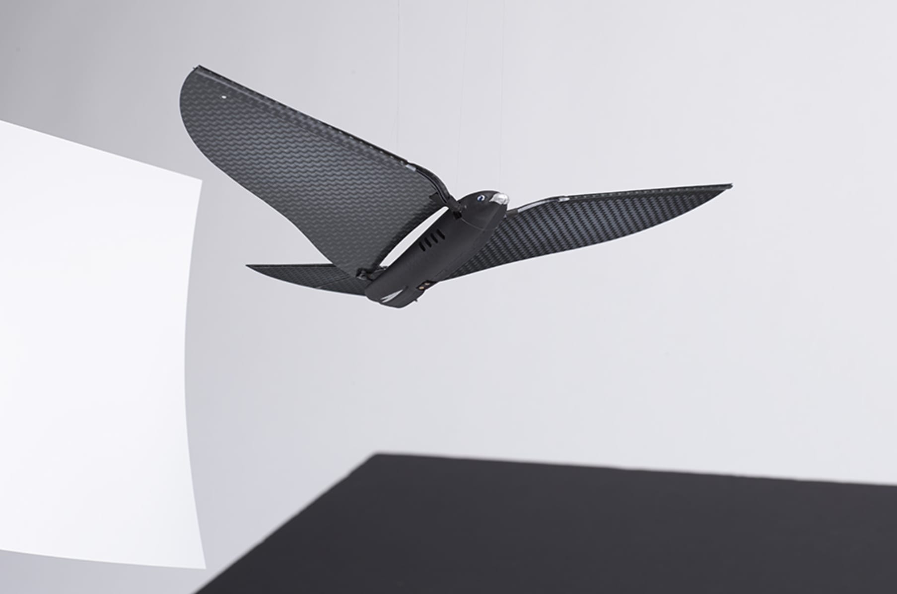 Bionic bird app top
