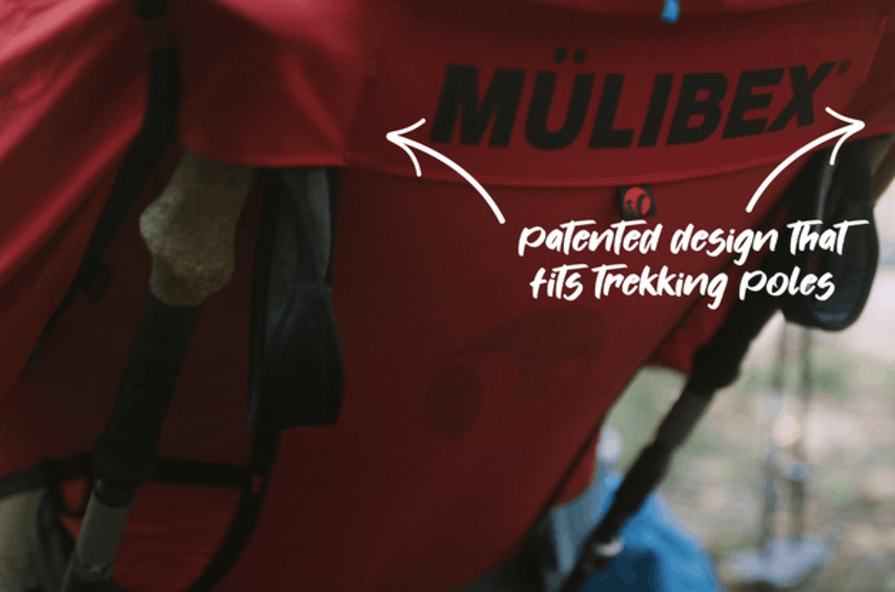 Mulibex chair best sale price