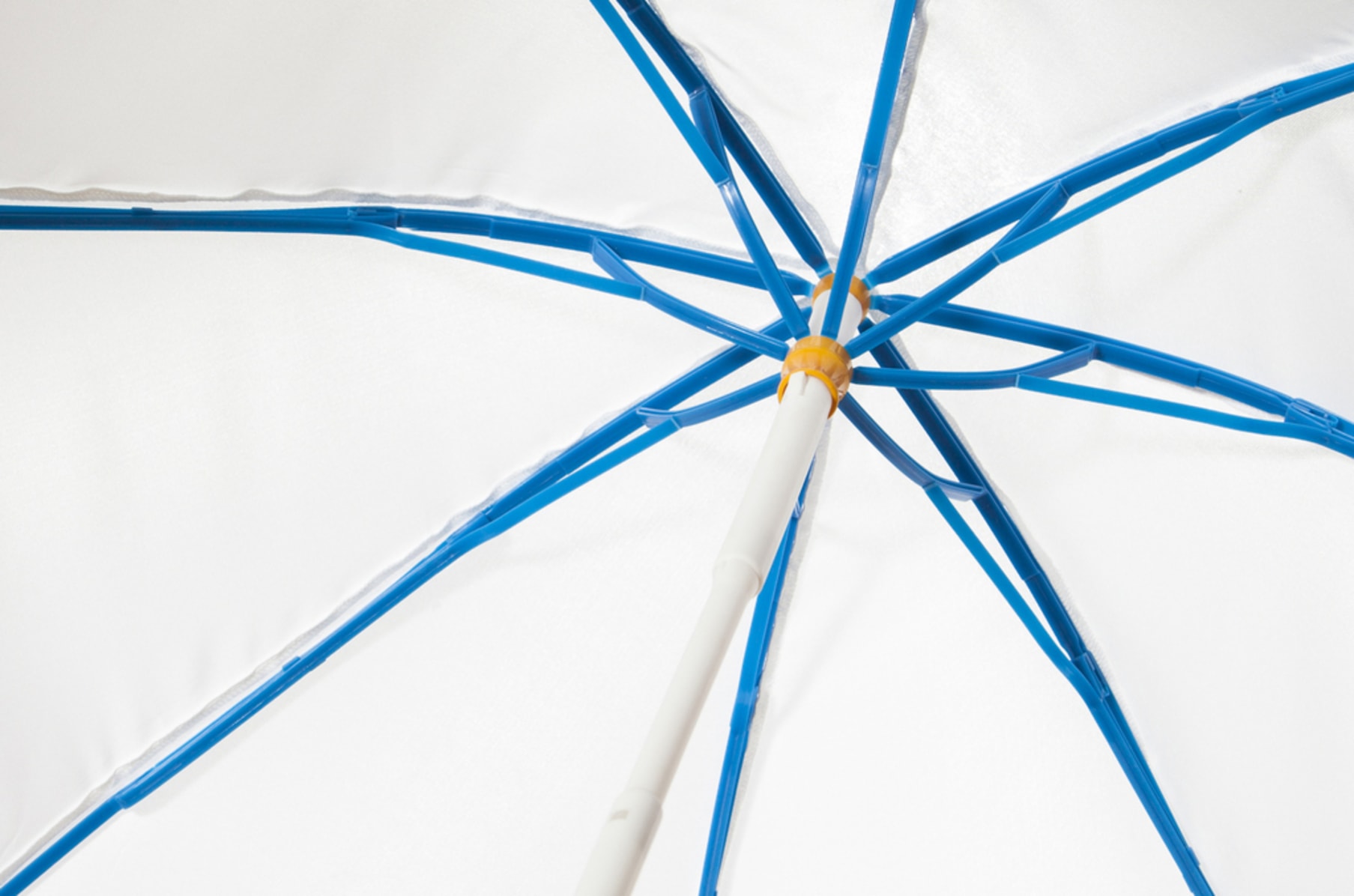 Ginkgo Umbrella Indiegogo