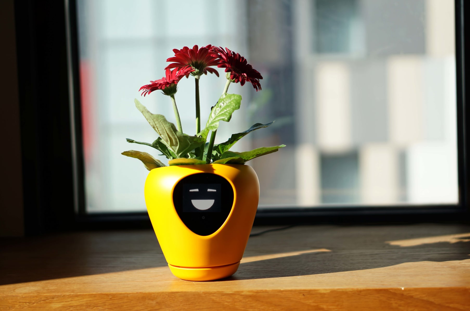 Smart online plant pot