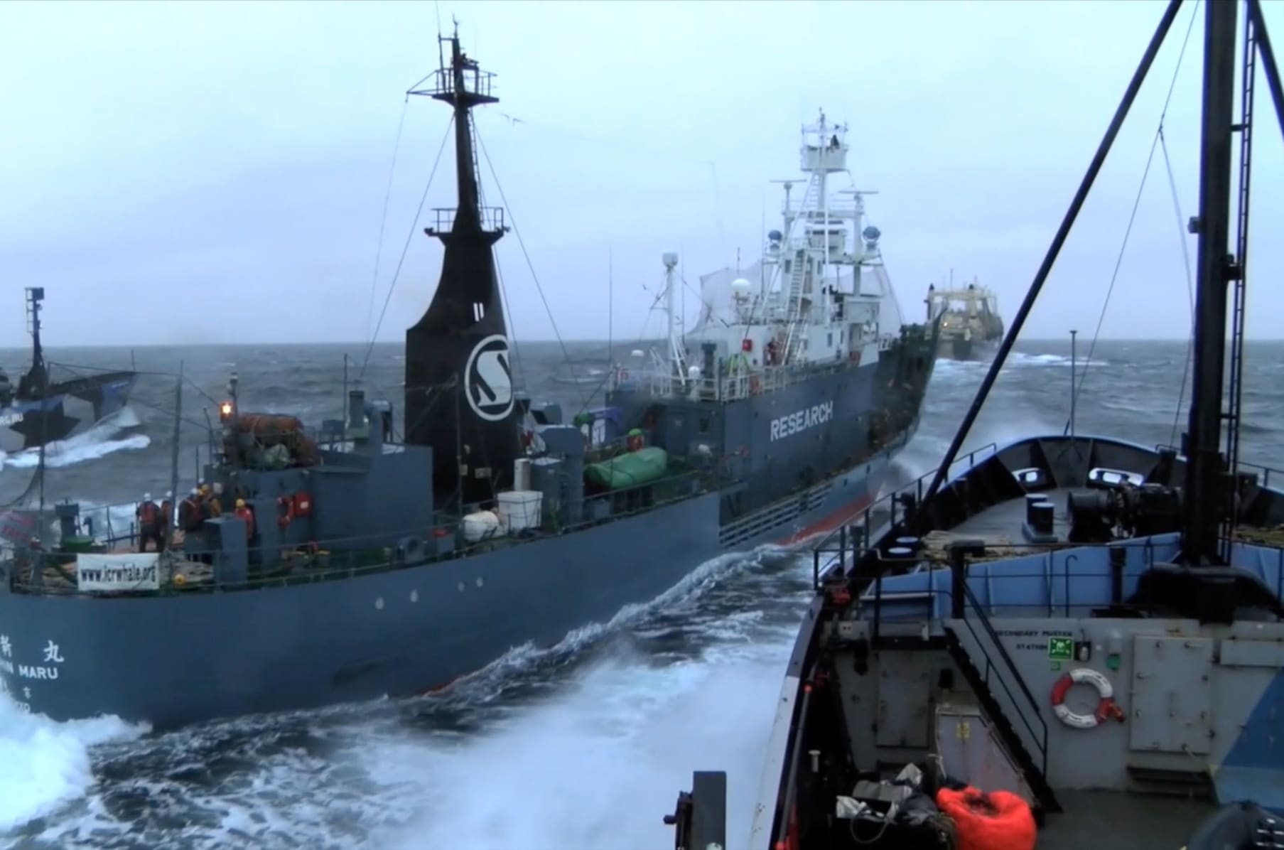 roblox build a boat trench stage Defend Conserve Protect A Sea Shepherd Movie Indiegogo
