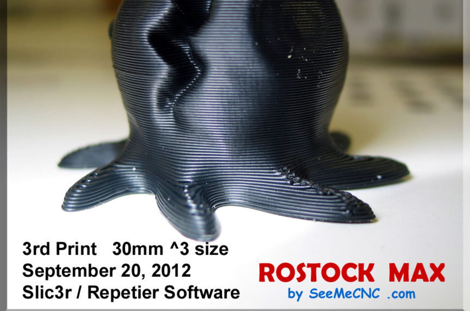 Rostock Max 3d Printer Indiegogo