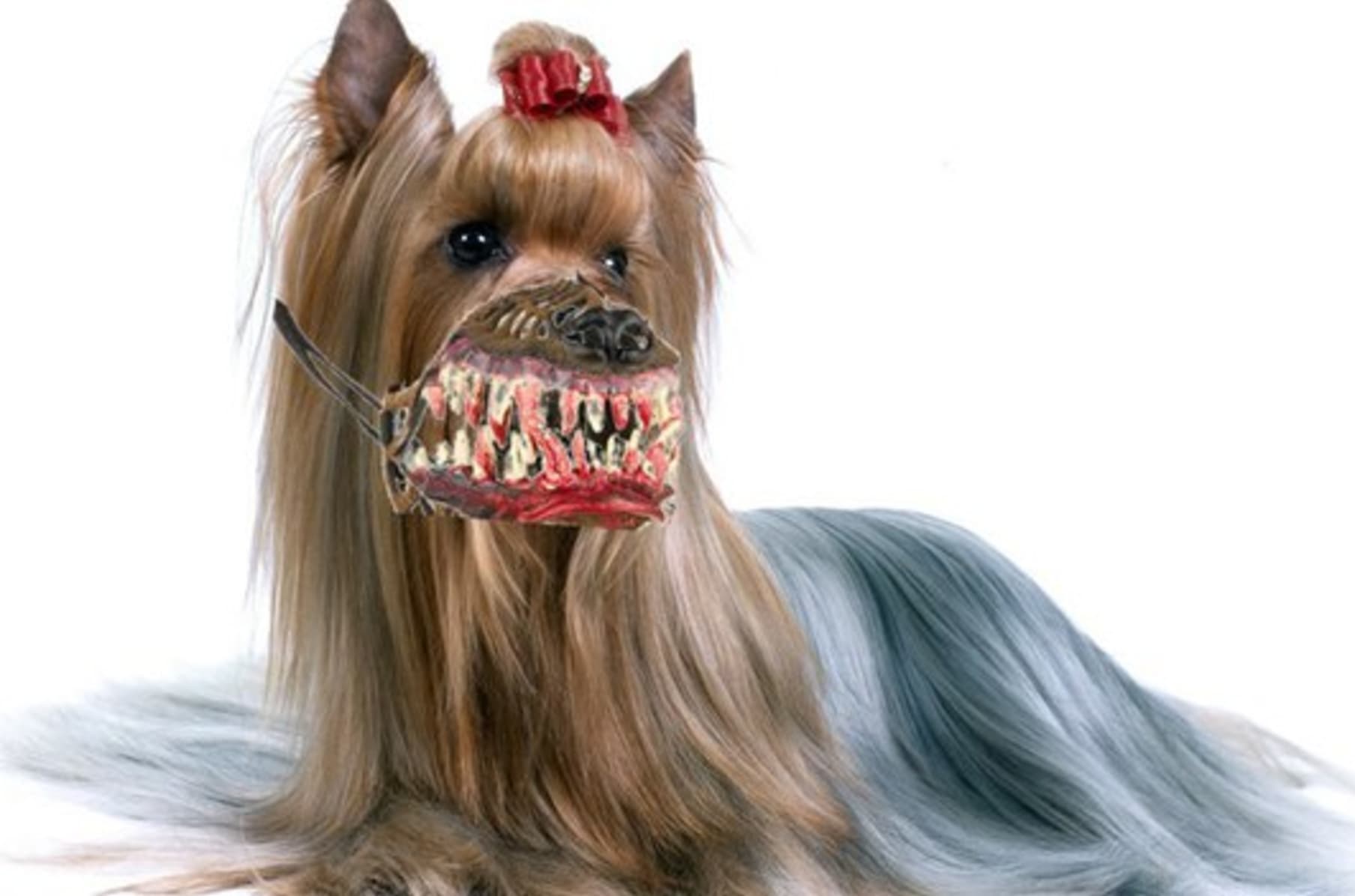 Werewolf muzzle sales