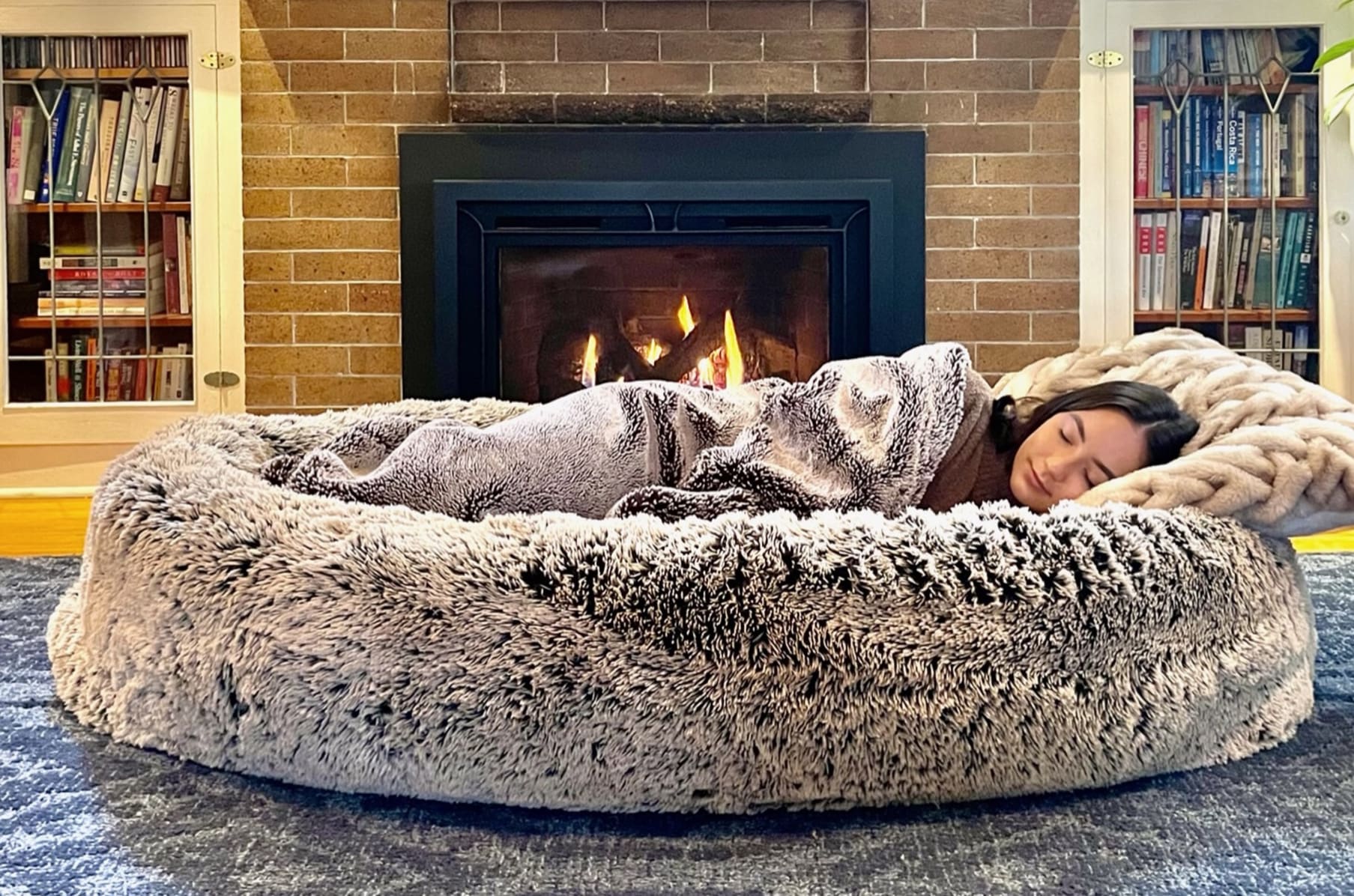 Human bed with dog bed store built in