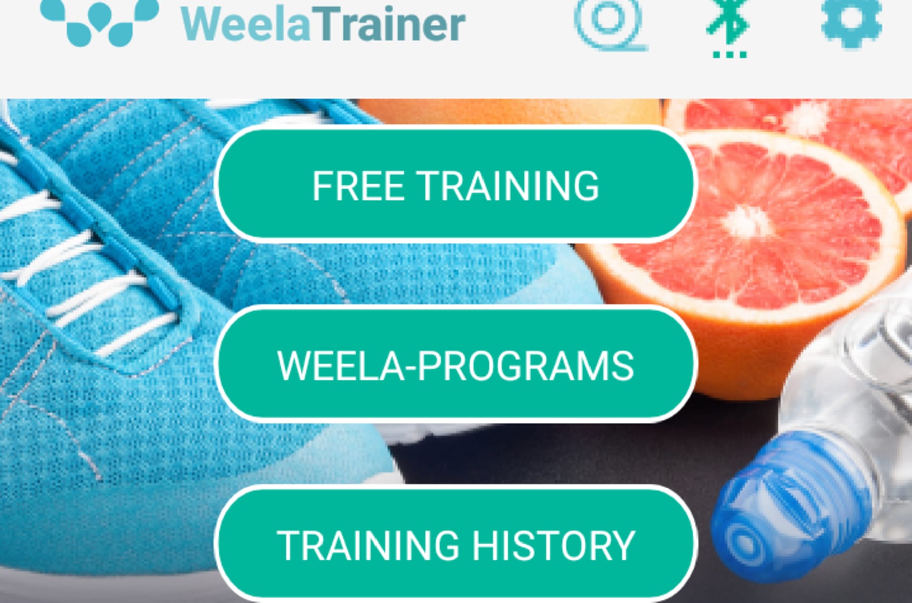 Weela gym 2025