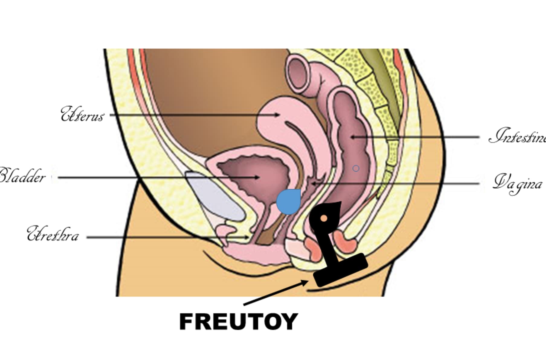 The FREUTOY...we continue on WWW.FREUTOY.COM | Indiegogo