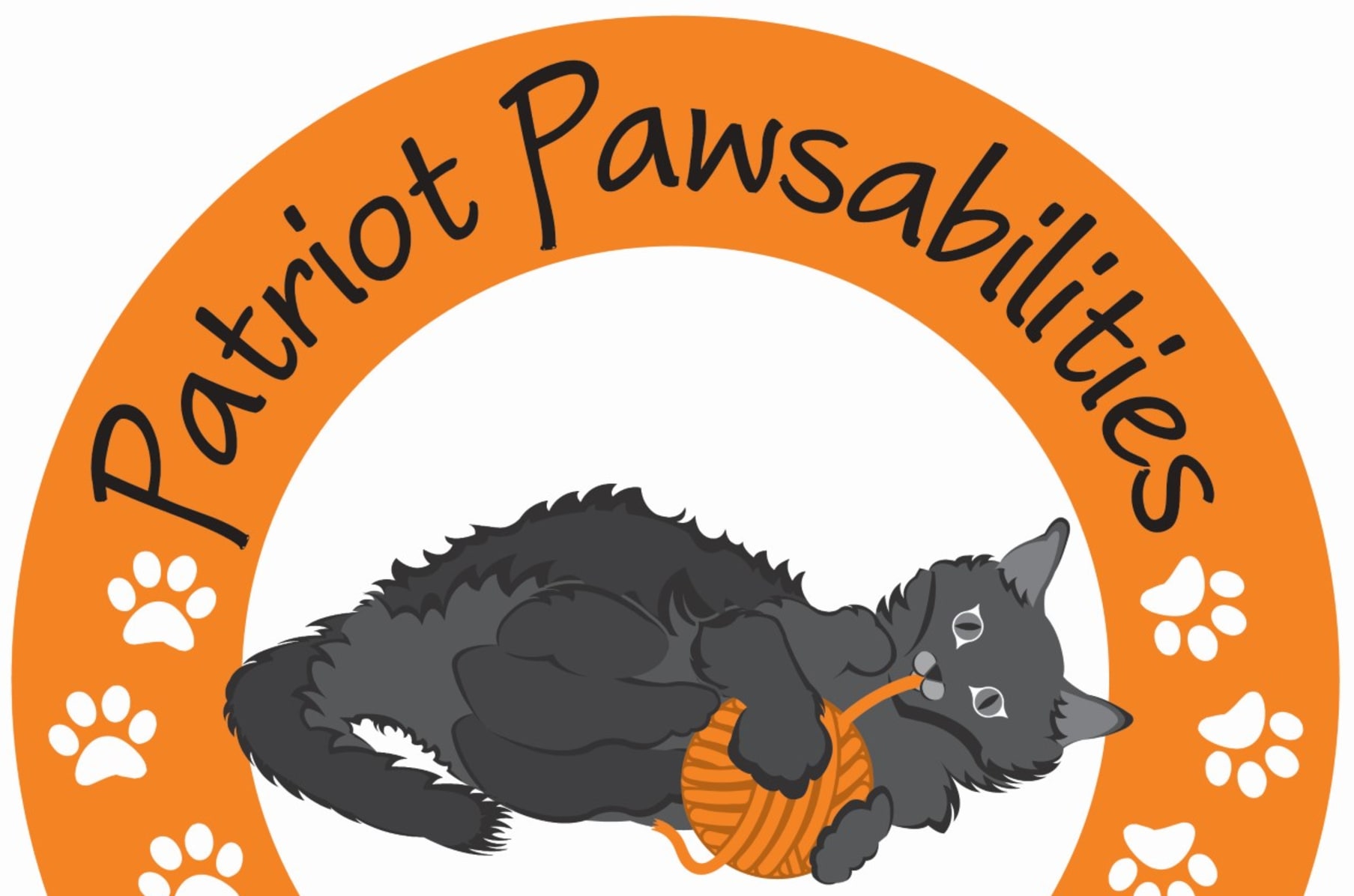 Patriot Pawsabilities Cat Lounge Indiegogo