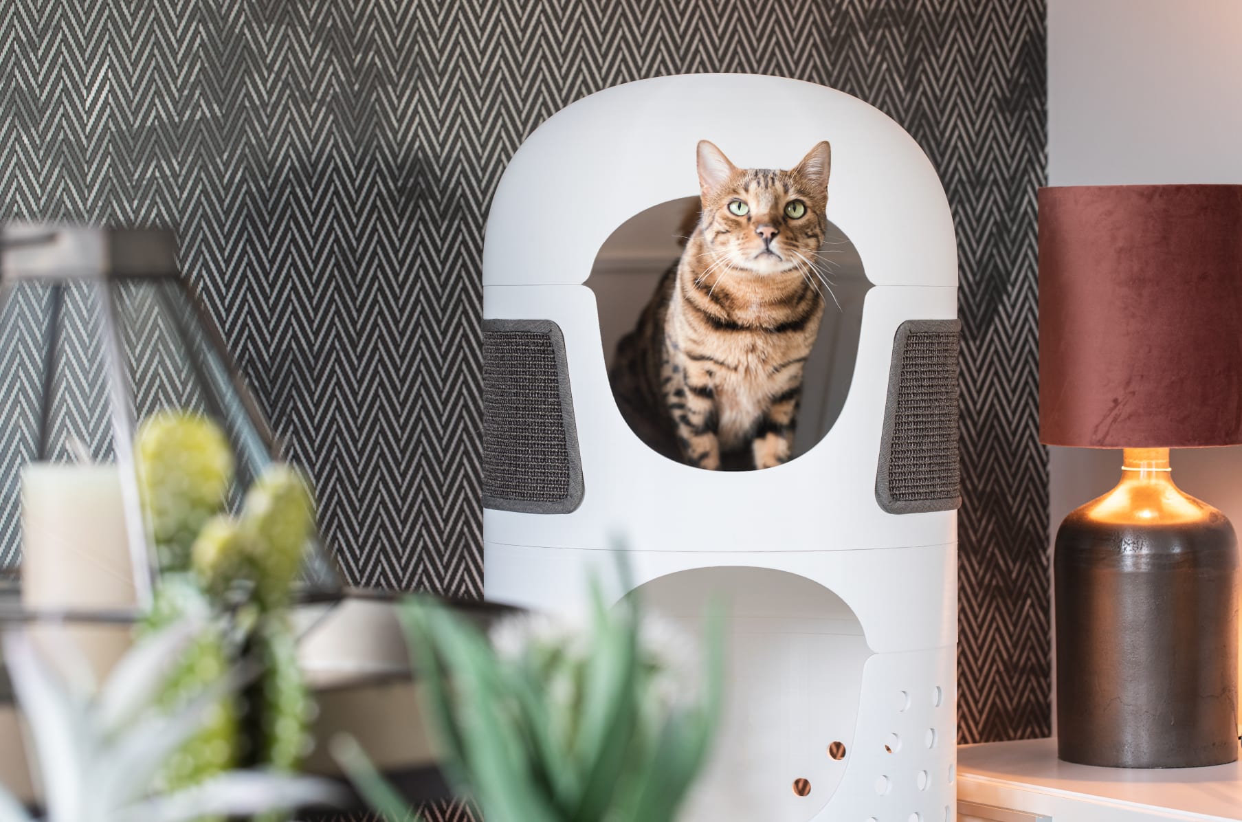 catrub one the best multifunctional cat furniture indiegogo