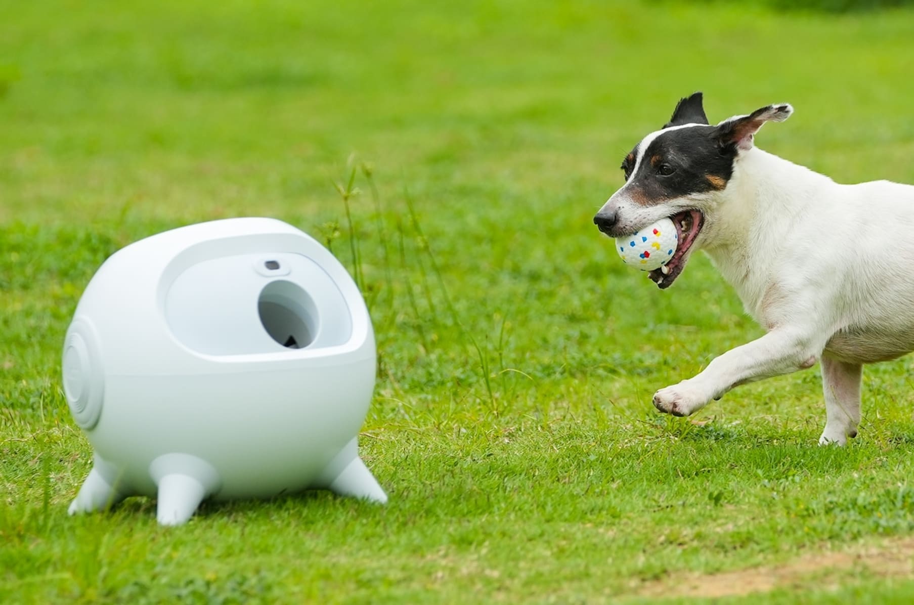 Uahpet iRetriever World s Safest Dog Ball Launcher Indiegogo
