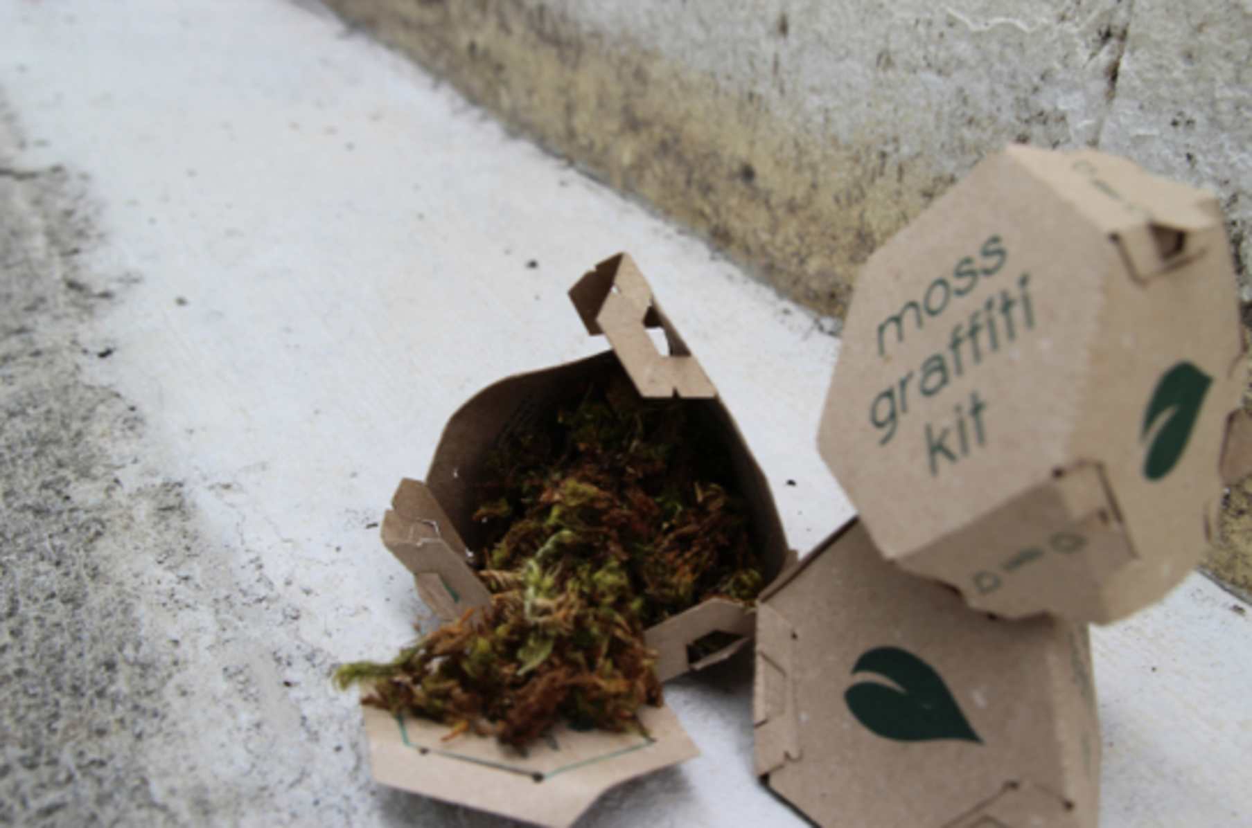 Moss Graffiti Kits By Sprout Guerrilla Indiegogo