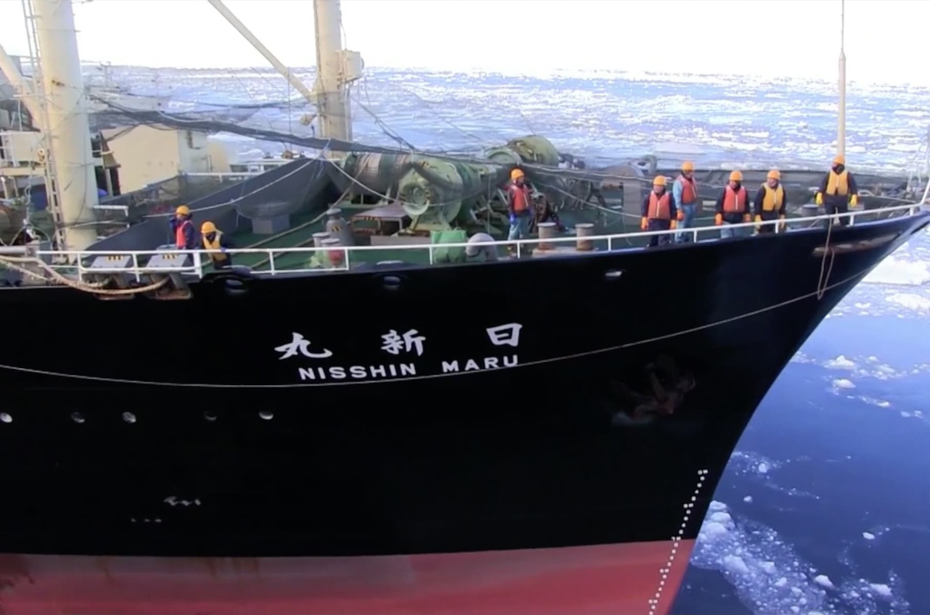 Defend Conserve Protect A Sea Shepherd Movie Indiegogo