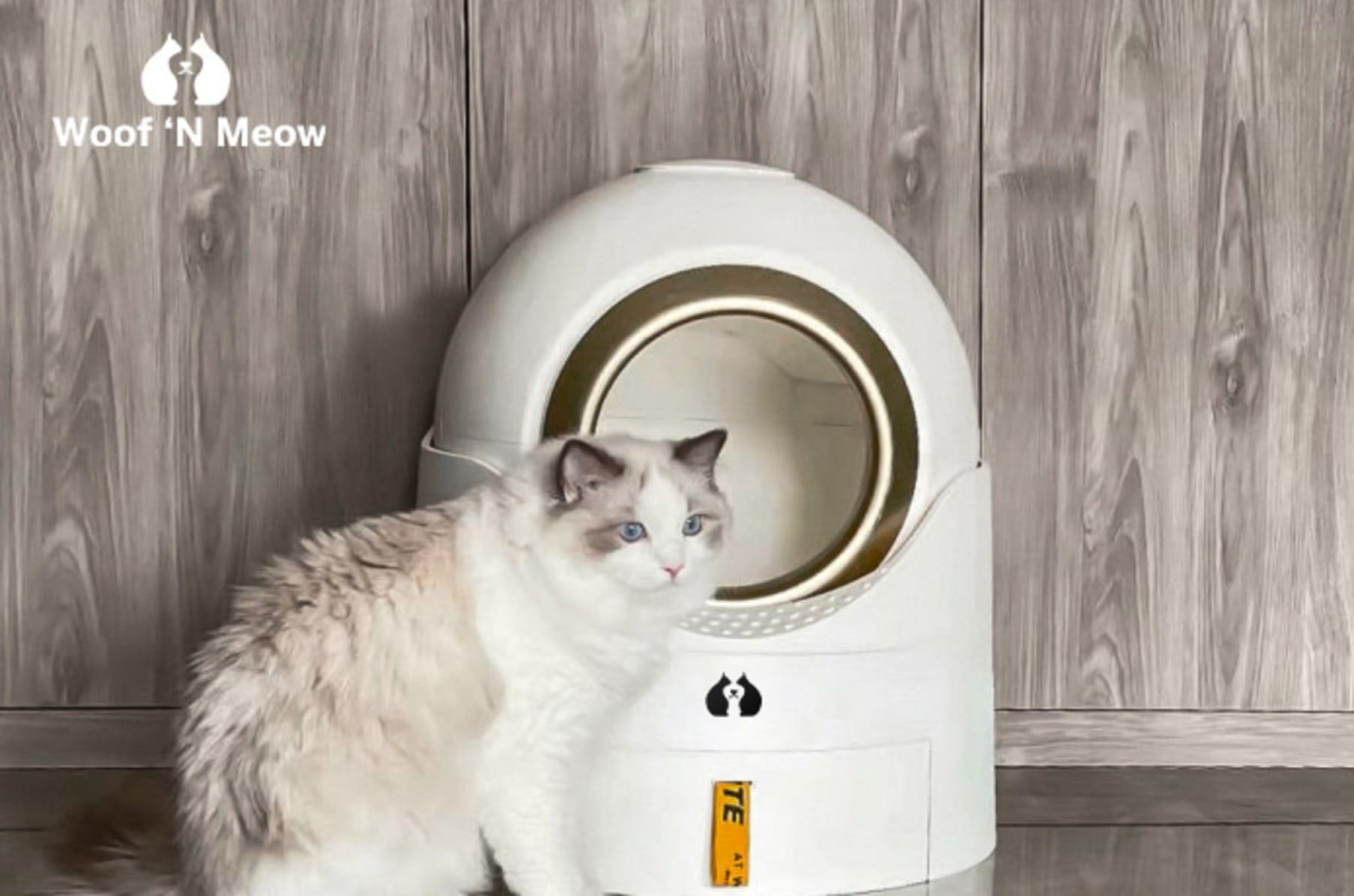 Woof 'N Meow: The Smart Semi-auto Litter Box | Indiegogo