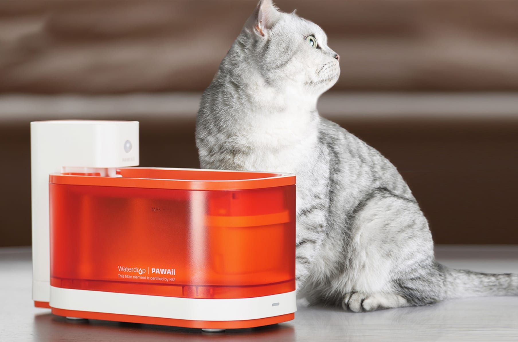 Whisker city small pet fountain ii filters sales