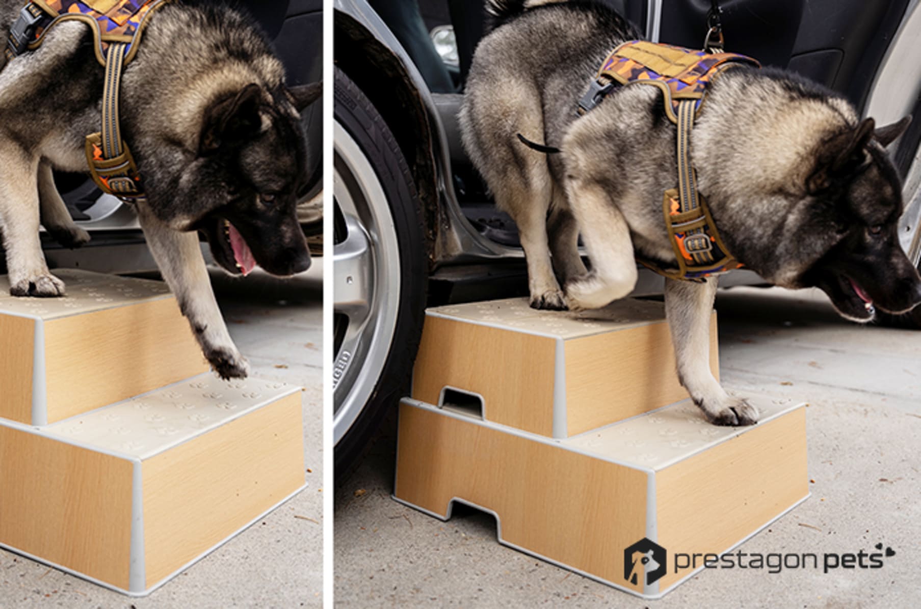 Indiegogo dog cheap ramp
