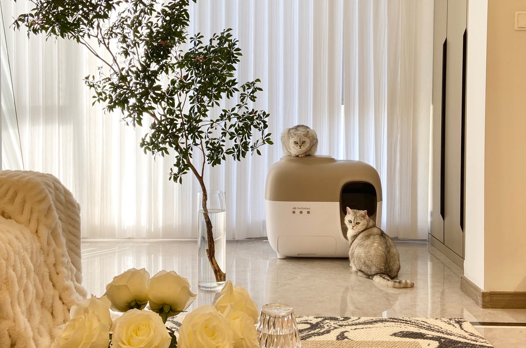 PetSnowy The Innovative Self Cleaning Litter Box Indiegogo