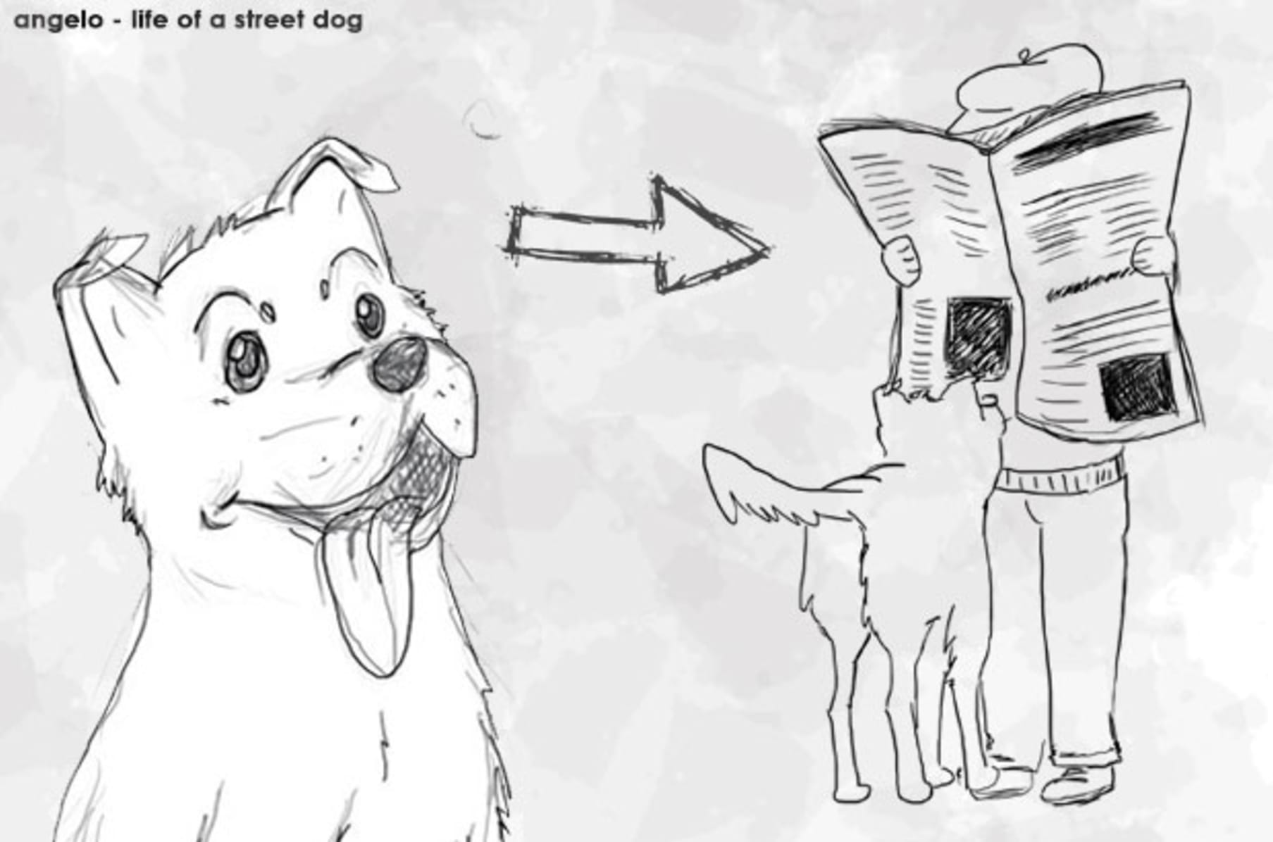 Angelo Life Of A Street Dog Indiegogo
