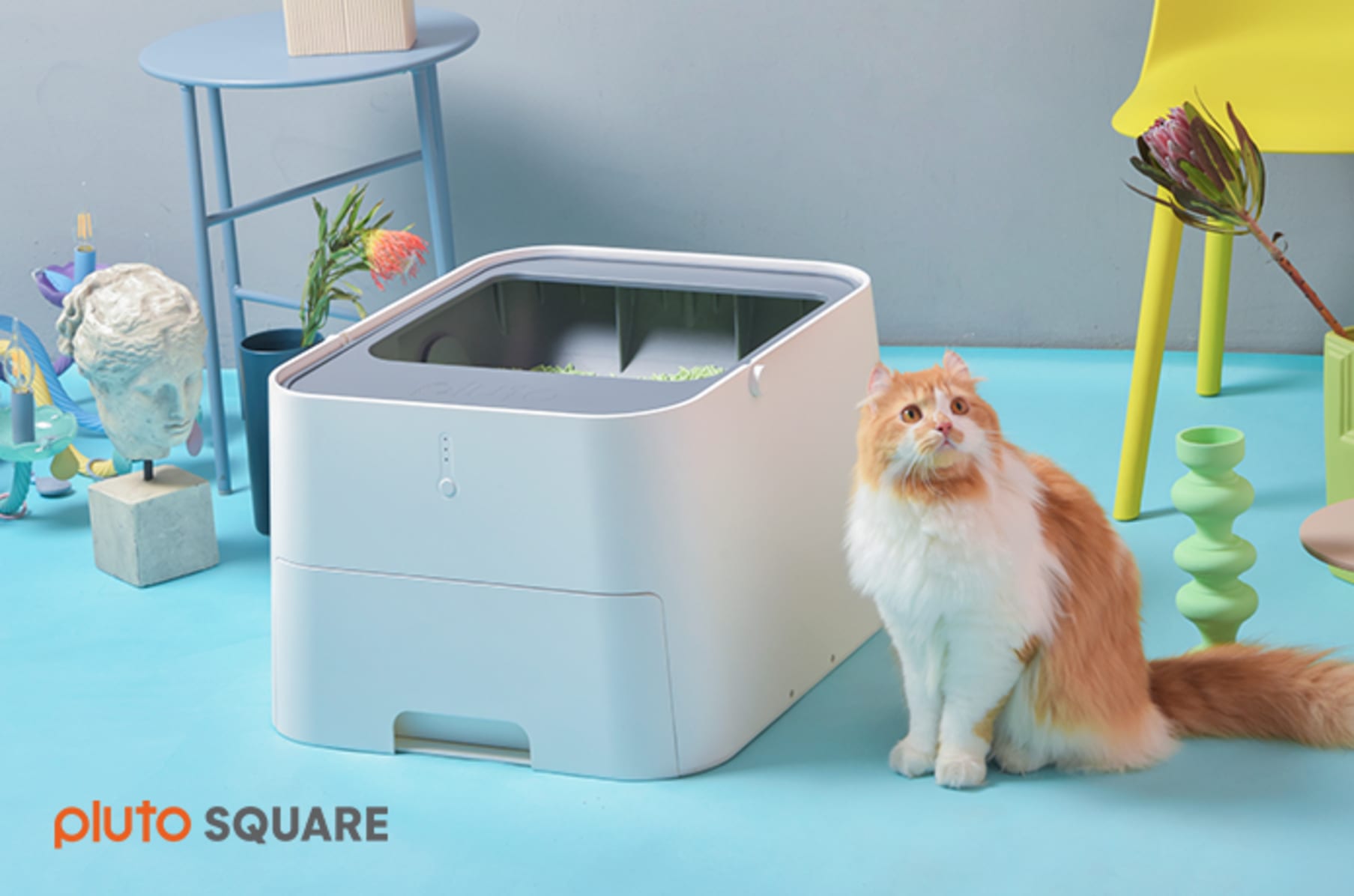 Cube litter box clearance