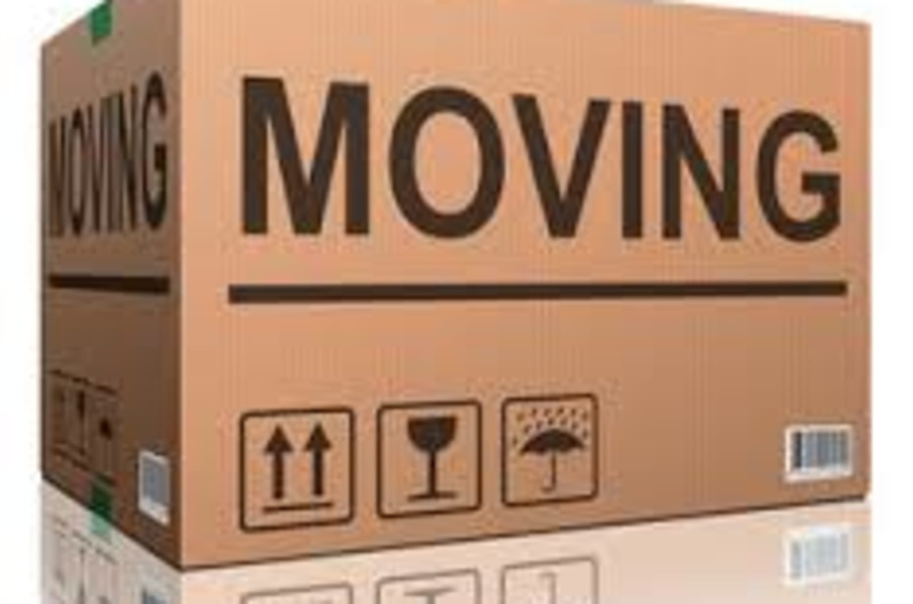 Moving Countries Indiegogo