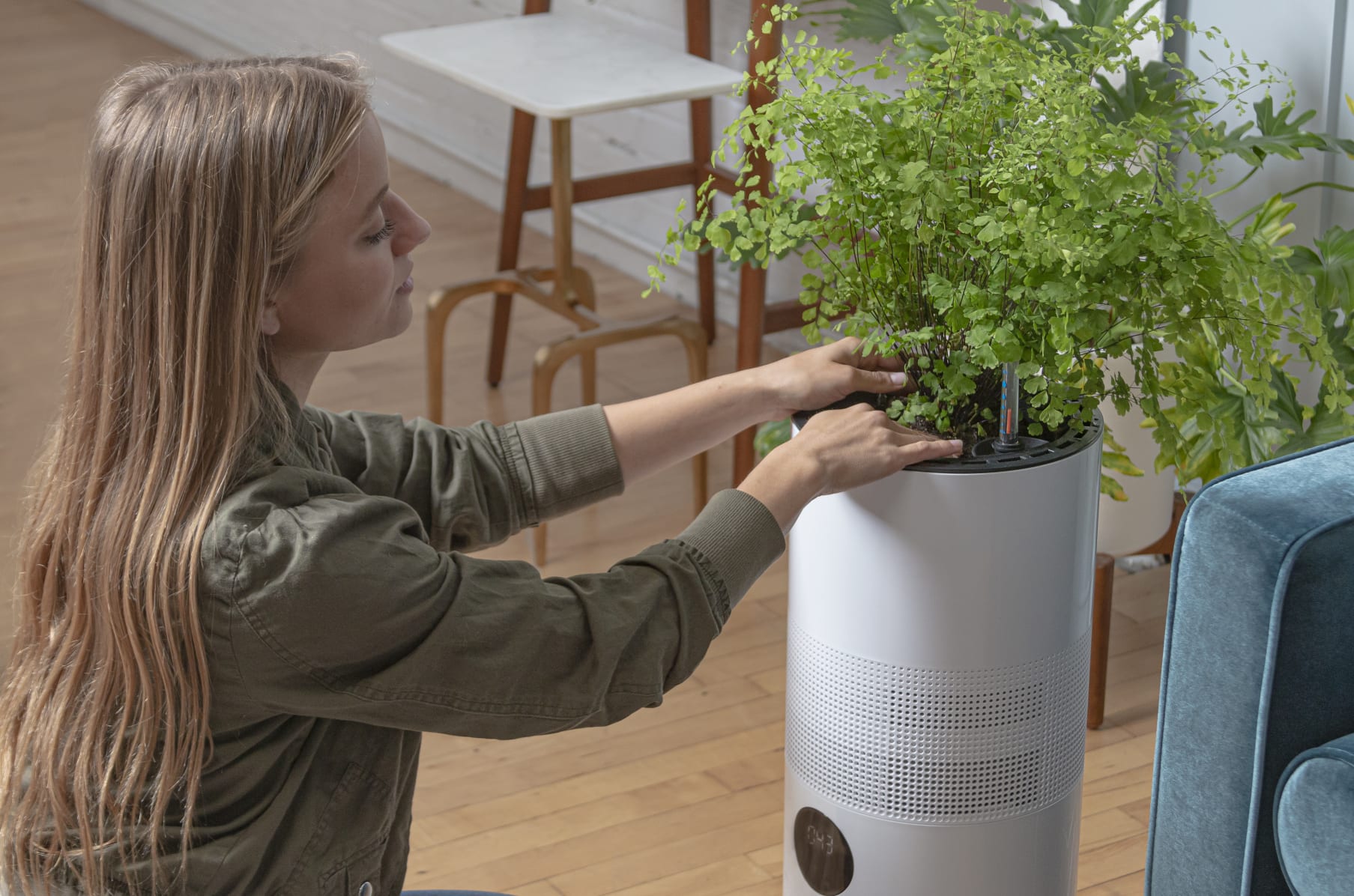 Nasa approved outlet air purifier