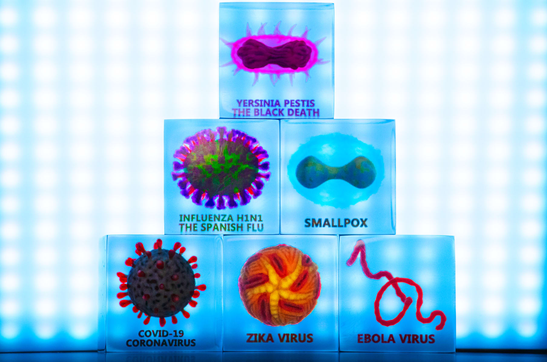 The Contagion Cubes | Indiegogo