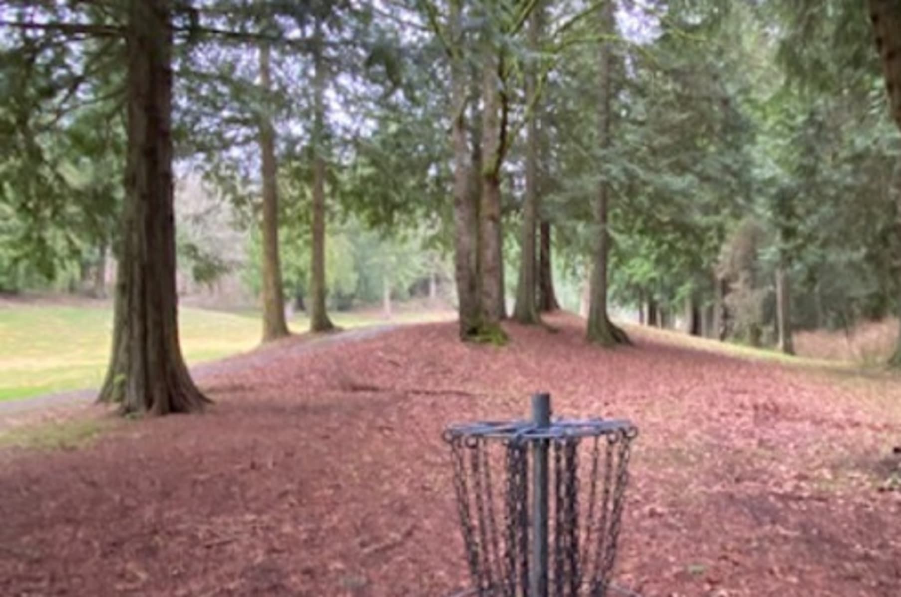 Disc Golf Resort At Kayak Point Indiegogo