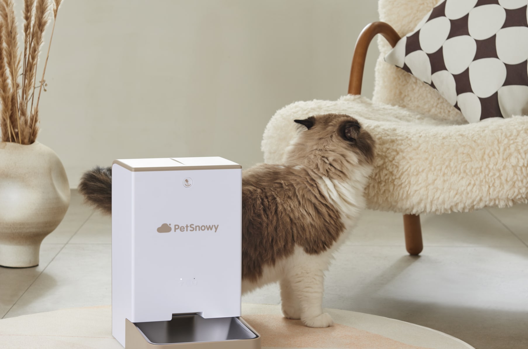 PetSnowy: The Innovative Self-Cleaning Litter Box | Indiegogo