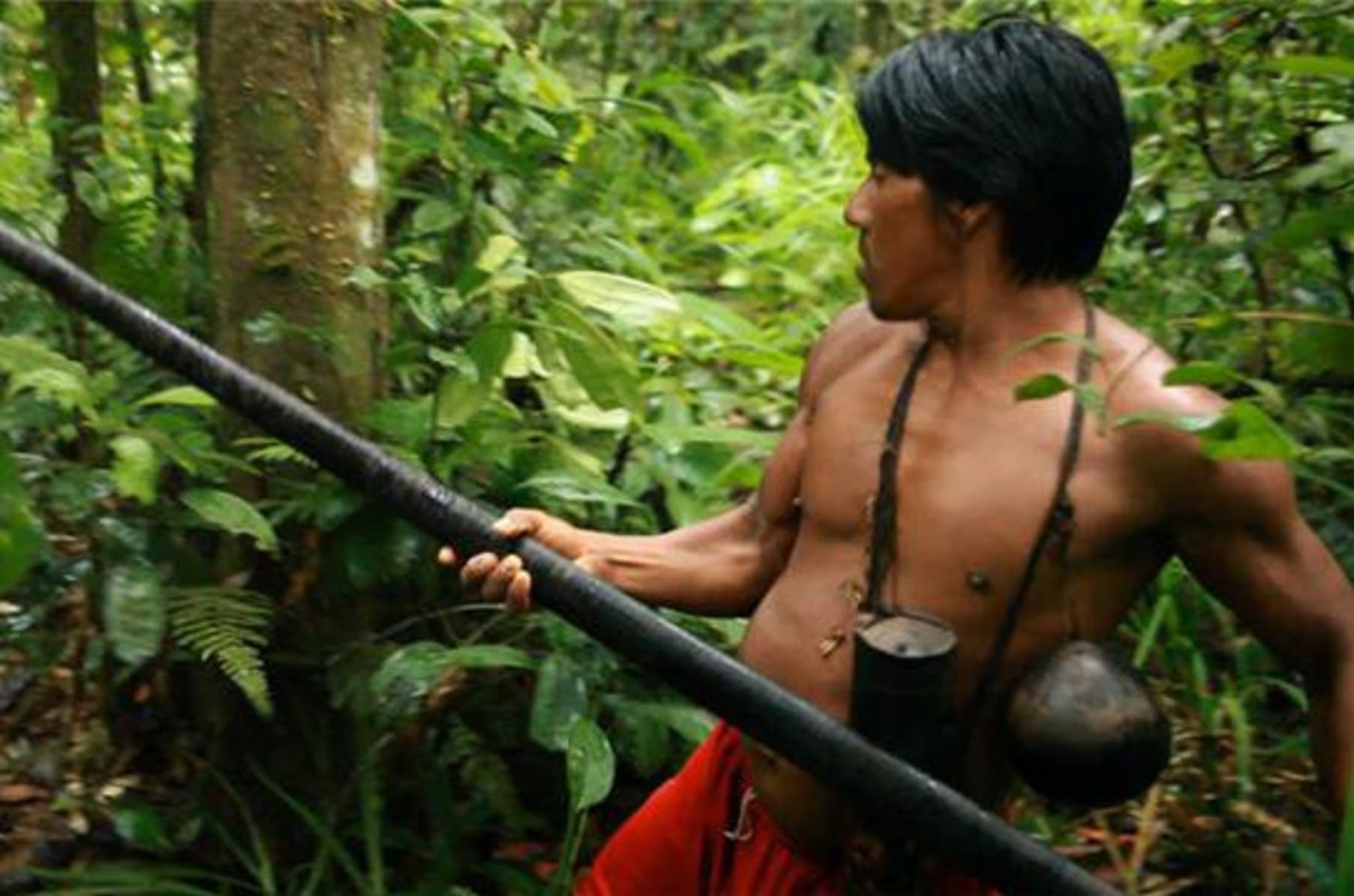 Amazon Souls Documentary Indiegogo