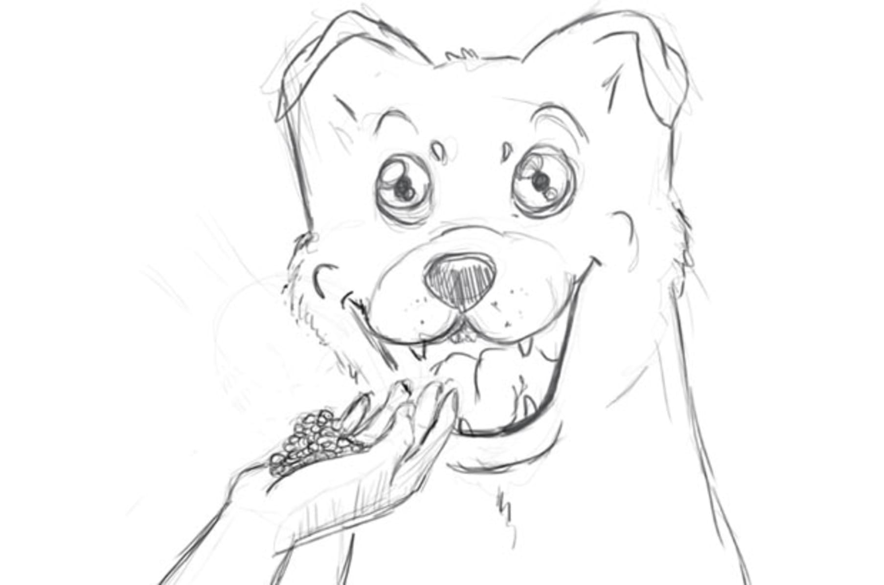 Angelo Life Of A Street Dog Indiegogo