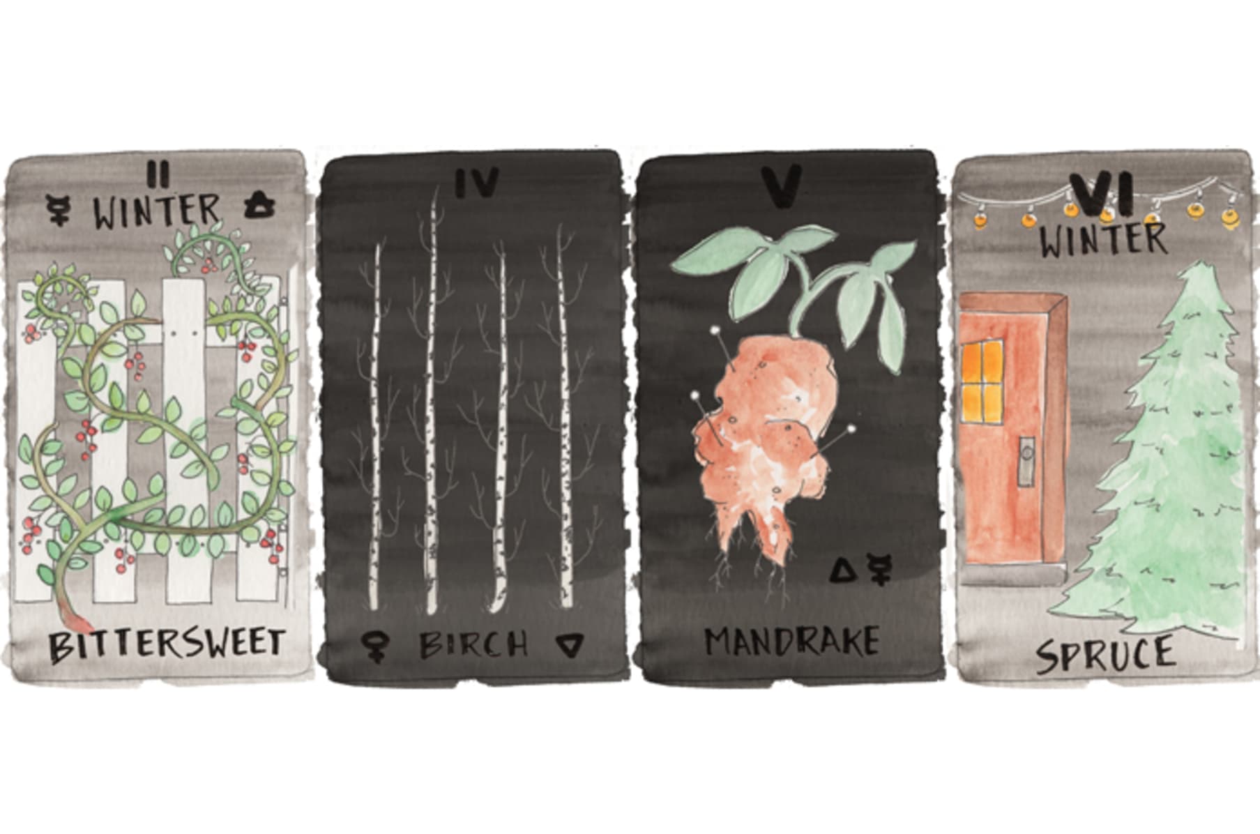 Tarot Of Plants Illustrated Edition Indiegogo
